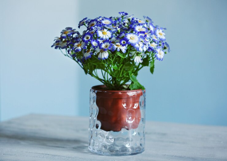 Foto cinerarias frescas em um vaso na mesa de madeira