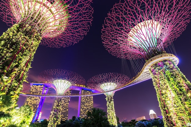 CINGAPURA - 11 de janeiro de 2018: floresta Supertree Grove iluminada à noite. Jardins da Baía, Singap