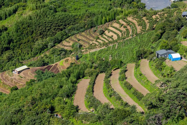 Cingjing Farm in Nantou in Taiwan