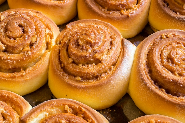 Cinnabon. hausgemachte Zimtschnecken. gebackene Brötchen auf einem Backblech