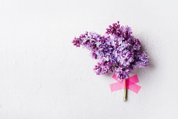 La cinta adhesiva rosa adhiere hermosas flores lilas en la pared blanca. Concepto de vacaciones creativo mínimo, vista frontal.