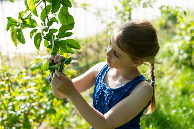 Cintura para arriba de la niña curiosa con trenza vistiendo camiseta sin mangas azul inspeccionando hojas en la rama de un árbol verde y exuberante al aire libre en un día soleado de verano