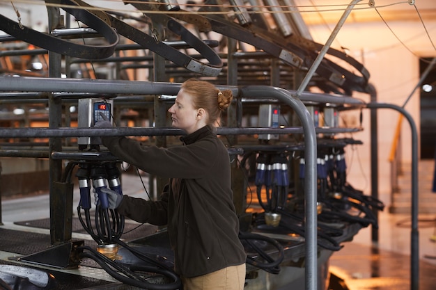 Cintura para cima, retrato de uma trabalhadora configurando uma máquina de ordenha de vacas em uma moderna fazenda de laticínios, copie o espaço