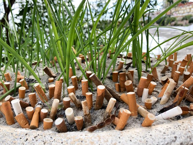 Cinzeiro grande e criativo ao ar livre feito de folhas novas de grama em canteiro de flores entre gobis de cigarro