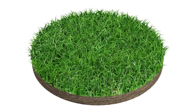 Círculo de césped verde sobre fondo blanco renderización 3D