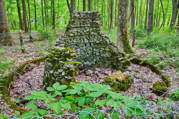 Círculo de decomposição em torno de estrutura abandonada superada pela floresta circundante