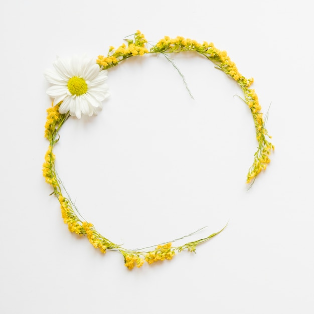 Círculo de flores amarillas y manzanilla