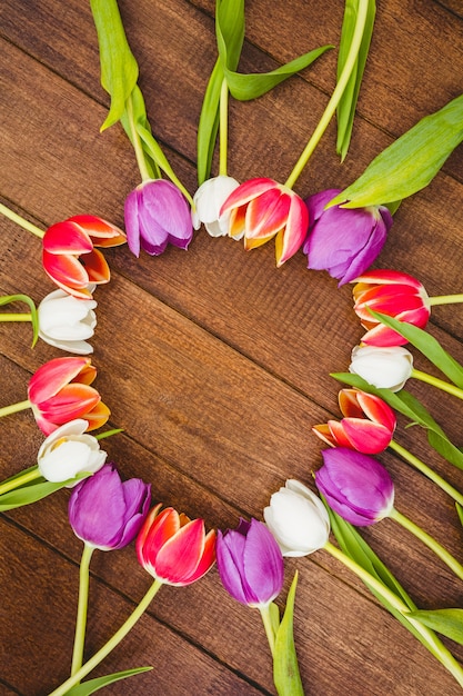 Círculo de flores púrpuras y rojas