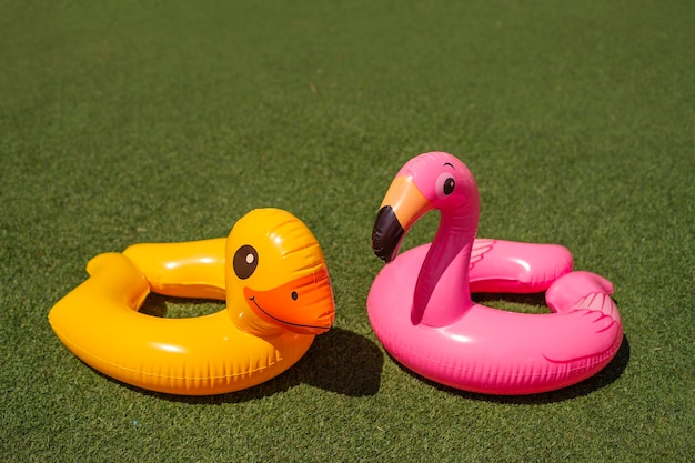 Foto círculo de natación en forma de flamenco rosa y pato