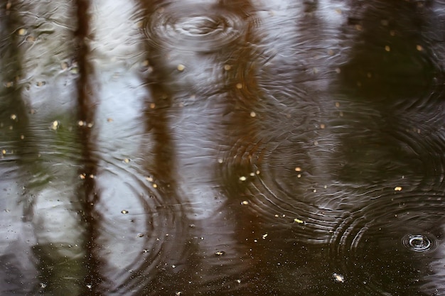 Círculos de charco de lluvia, fondo abstracto aqua, textura agua de otoño