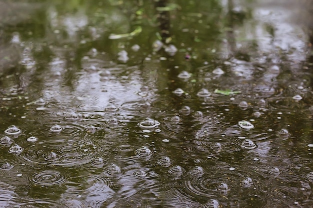 Círculos de charco de lluvia, fondo abstracto aqua, textura agua de otoño