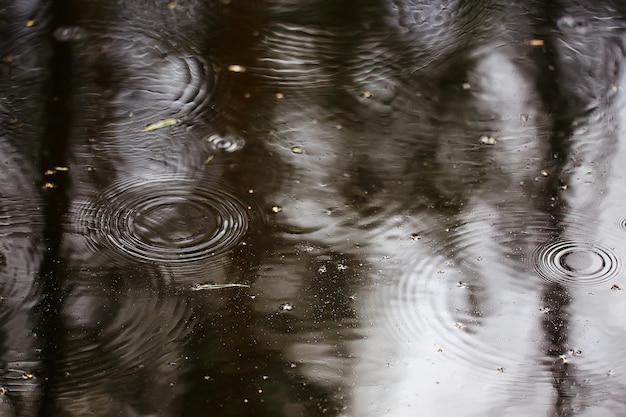 Círculos de charco de lluvia, fondo abstracto aqua, textura agua de otoño