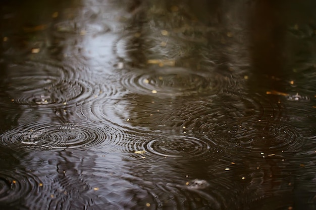 círculos de poça de chuva, fundo abstrato aqua, textura outono água