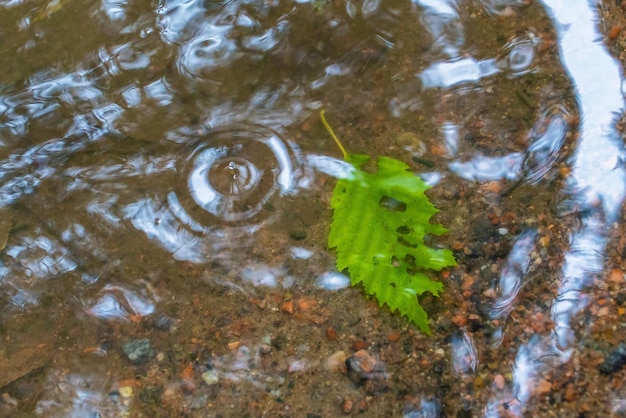Círculos e listras de pingos de chuva na superfície da água