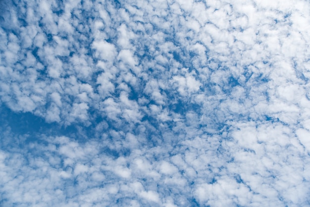 Cirrocumulus ou Altocumulus bonitos na camada de altitude média