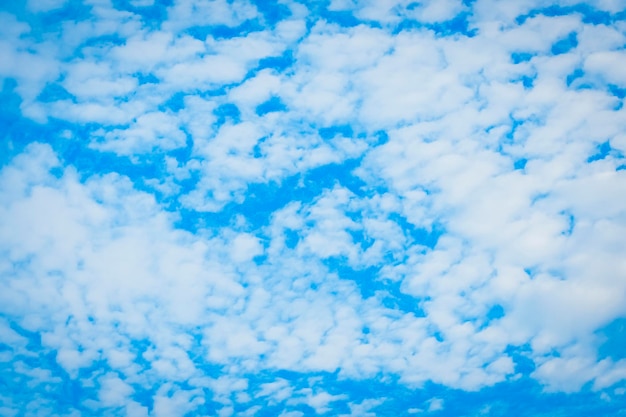 Cirrocumulus weißer kleiner Baumwollhinweis gegen blauen Himmel