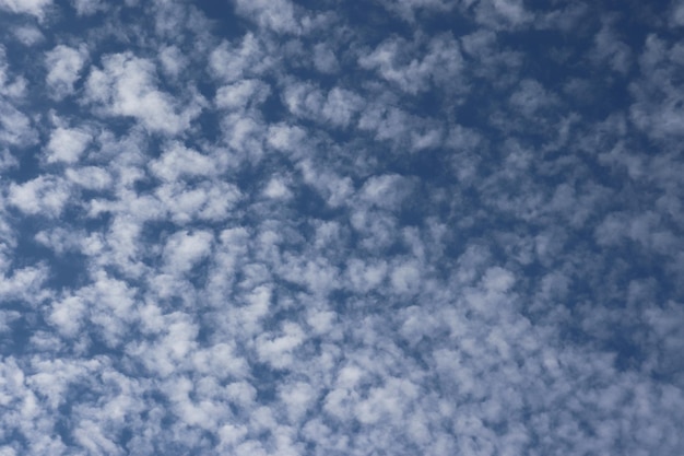 Cirros en un cielo azul de verano