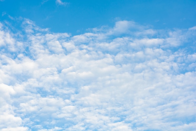 Cirros sobre fondo de cielo azul.