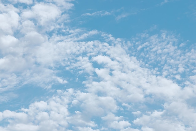 Cirros de verano ligero en el cielo azul