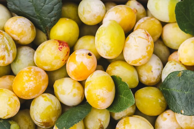 Ciruelas amarillas con hojas verdes. Frutas maduras frescas de cerca.