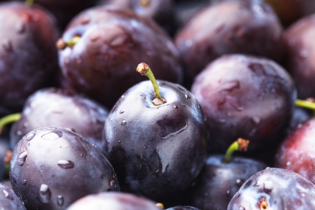 Ciruelas húmedas carnosas de cerca como fondo