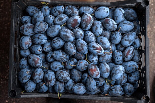 Ciruelas maduras frescas en un fondo de caja de ciruelas