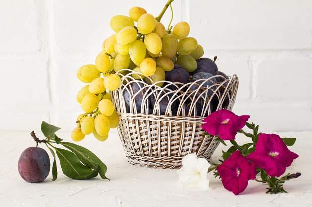 Ciruelas y un racimo de uvas verdes maduras en una cesta de mimbre sobre fondo de ladrillos blancos