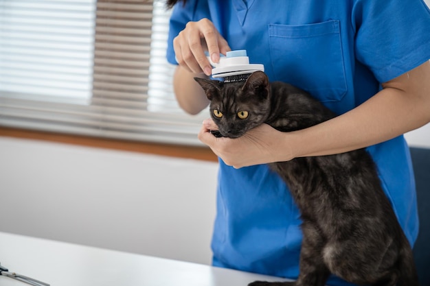 Cirujano veterinario Gato en la mesa de examen de la clínica veterinaria Cuidado veterinario Médico veterinario y gato