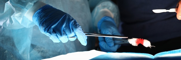 Cirurgião de uniforme segura pinça de cotonete encharcada de sangue