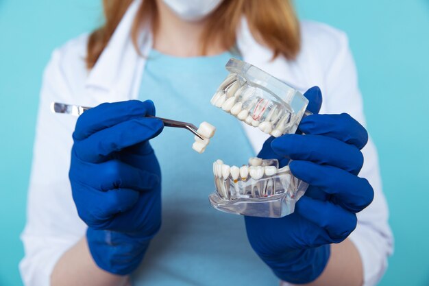 Cita con el dentista, instrumentos de odontología y concepto de chequeo de higienista dental con modelo de dientes