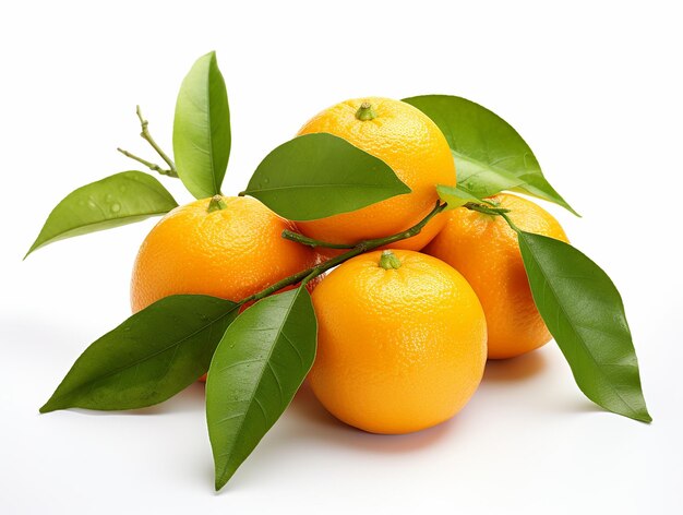 Citrus Harmony Frutas laranja com galho e folhas verdes