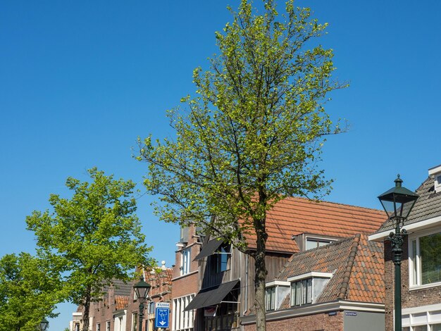 Foto ciudad de alkmaar