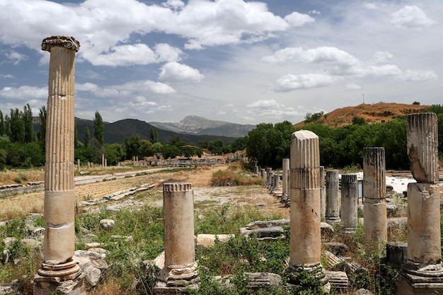 Ciudad antigua de Afrodisias. (Afrodisias). El nombre común de muchas ciudades antiguas dedicadas a la diosa Afrodita. La más famosa de las ciudades se llama Afrodisias. Karacasu - Aydin, TURQUÍA