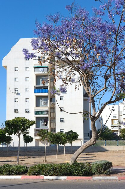 Foto la ciudad de ascalón en israel