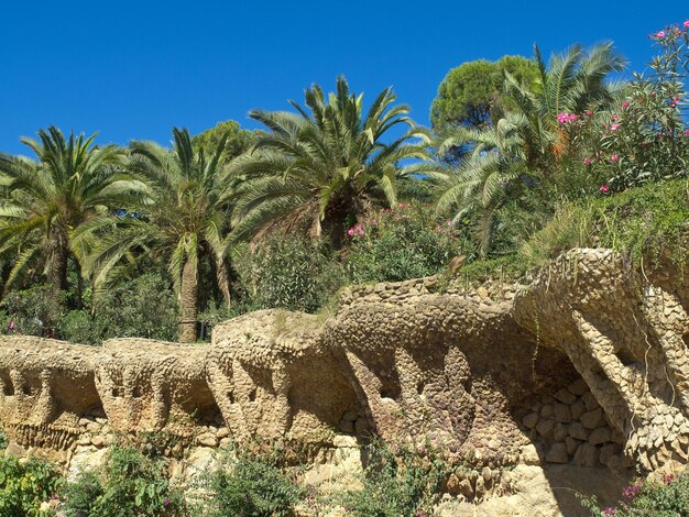 Foto la ciudad de barcelona