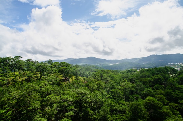 Ciudad de Dalat, Vietnam, Vista de muchas casas desde la colina