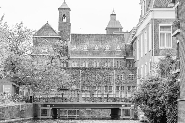 Foto la ciudad de den haag en los países bajos