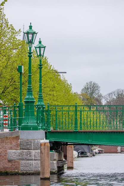 Foto la ciudad de den haag en los países bajos