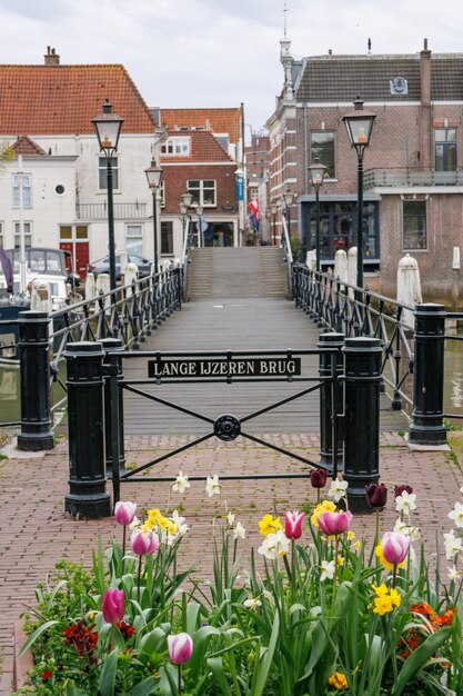 Foto la ciudad de dordrecht en los países bajos