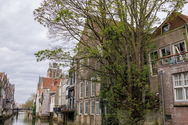 Foto la ciudad de dordrecht en los países bajos