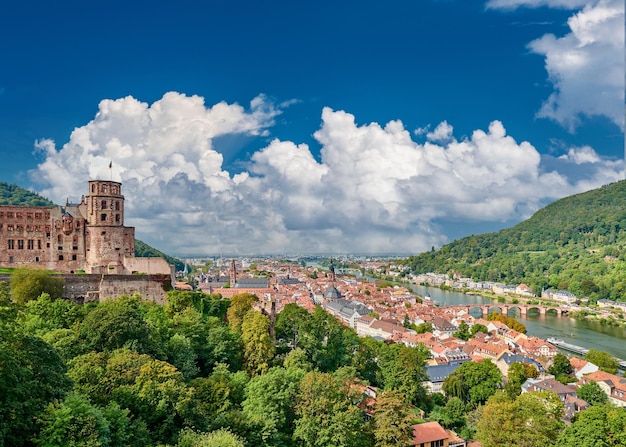 Ciudad de Heidelberg en el río Neckar Alemania