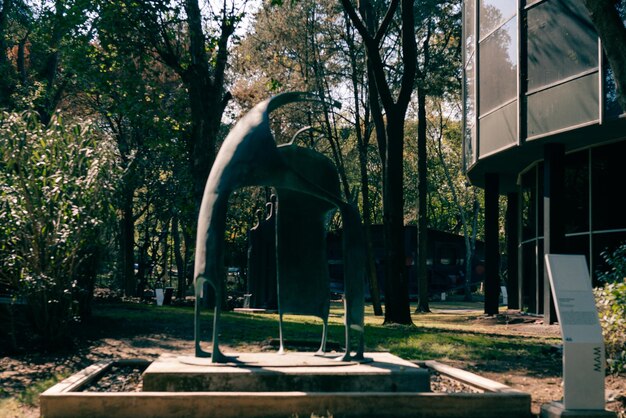 Ciudad de México, mayo de 2023, fuera del Museo de Arte Moderno, dentro del bosque de Chapultepec.