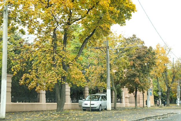 Ciudad nublada de otoño con un paisaje de auto estacionado