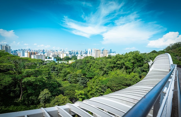 Foto ciudad de singapur skyline y vista de rascacielos en el puente de henderson durante el día