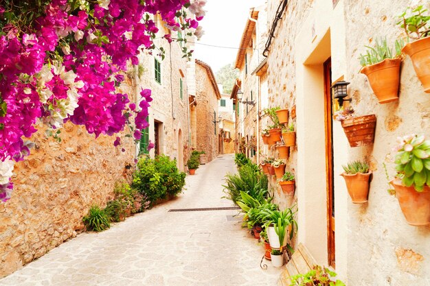 Foto ciudad vieja de valdemossa mallorca