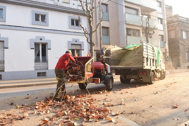 cizalla de podar en una calle de la ciudad