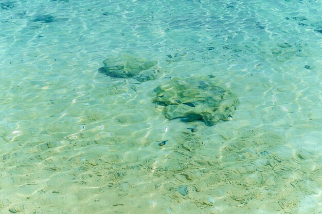 Claramente agua de mar, arena y piedra bajo el agua