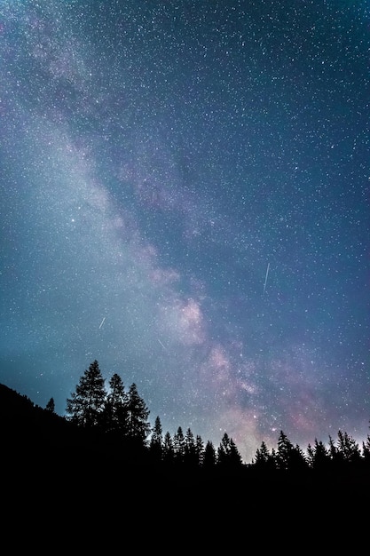 Claramente la galaxia de la vía láctea en la silueta nocturna oscura de los árboles