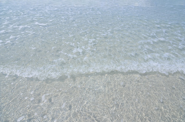 Claras olas del mar y playas de arena durante el día