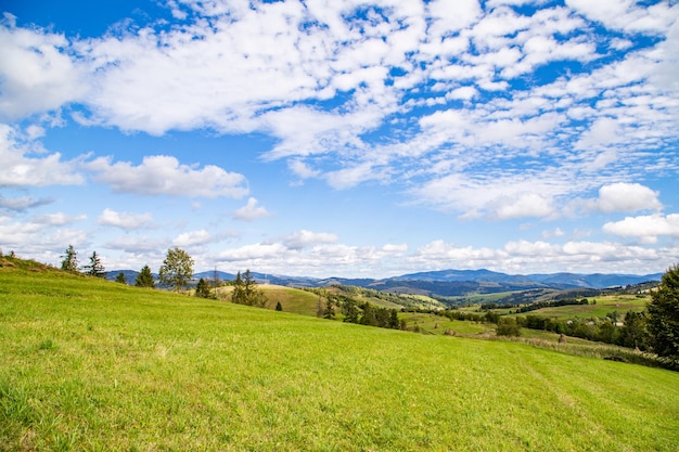 Foto claro verde con vistas a las montañas y al hermoso cielo fondo de la cordillera